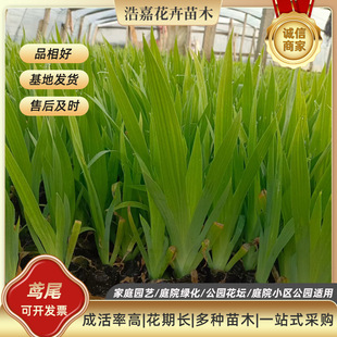 �Sβ�S����ˮ�����ܾG��ֲ���S����С��ˮ��ͦˮֲ���~������