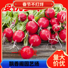 һ�����lˮ�������}���N�Ѵ�ȫ�ļ��̨�����P���}���N�Ӽt��С�}