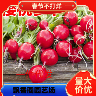 һ�����lˮ�������}���N�Ѵ�ȫ�ļ��̨�����P���}���N�Ӽt��С�}