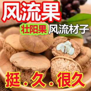 风流果野生龟头子泡酒益肾捻碇果辗垫栗厚鳞石栎木栎子大头椎包邮-阿里巴巴
