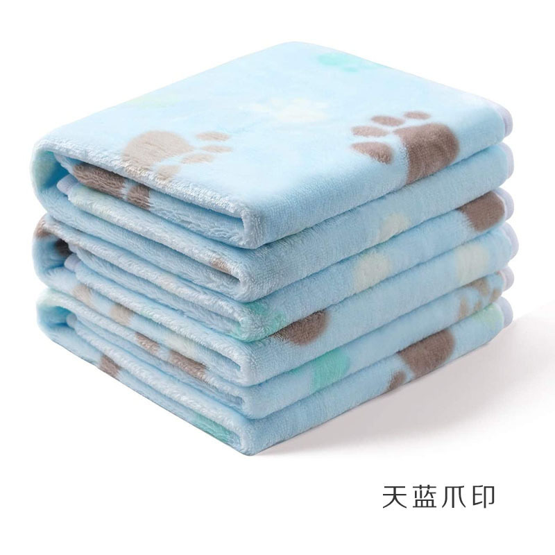 큰 개 발 하늘색