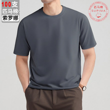 FW10641 2025ƥ���� ��ɫ100֧���������ж�����ʿԲ��T������