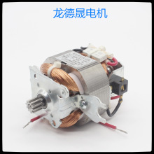 湖南龙德晟机电科技54系列串激电机 5420电机 搅拌机电机  绞肉机