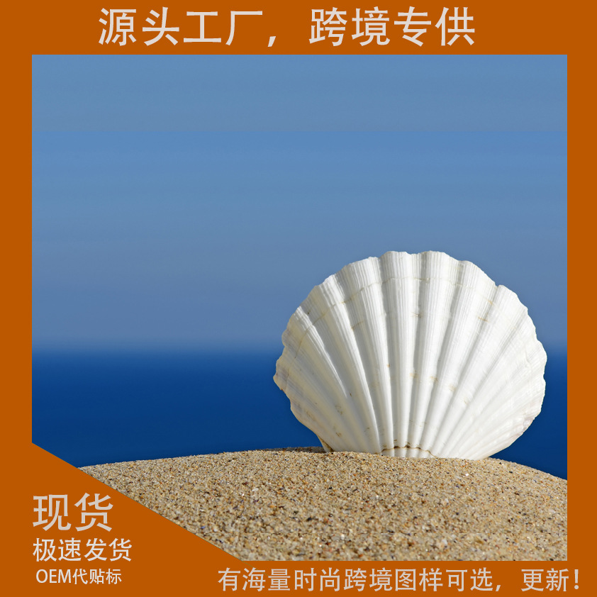 Hot-Selling Summer Shell Diatomaceous Earth Kitchen Floor Mat, Bathroom Absorbent Mat, Non-Slip Door Mat for Bathroom Entrance, Quick-Drying and Absorbent