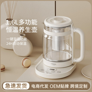 Health Pot Multi-Functional Special Electric Tea Maker Fully Automatic Glass Water Kettle Home Office Decoction Health Pot