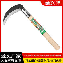 �����r�ò��P�砵��i�С砵���������ո���������L������