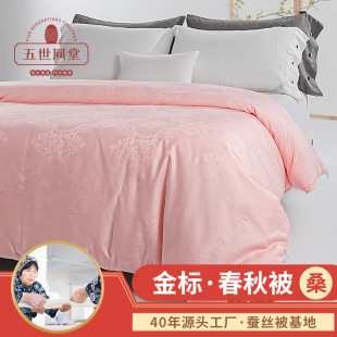 Strict selection of gold standard spring and autumn quilt light double Palace silk quilt core wedding quilt factory wholesale a generation of silk quilt