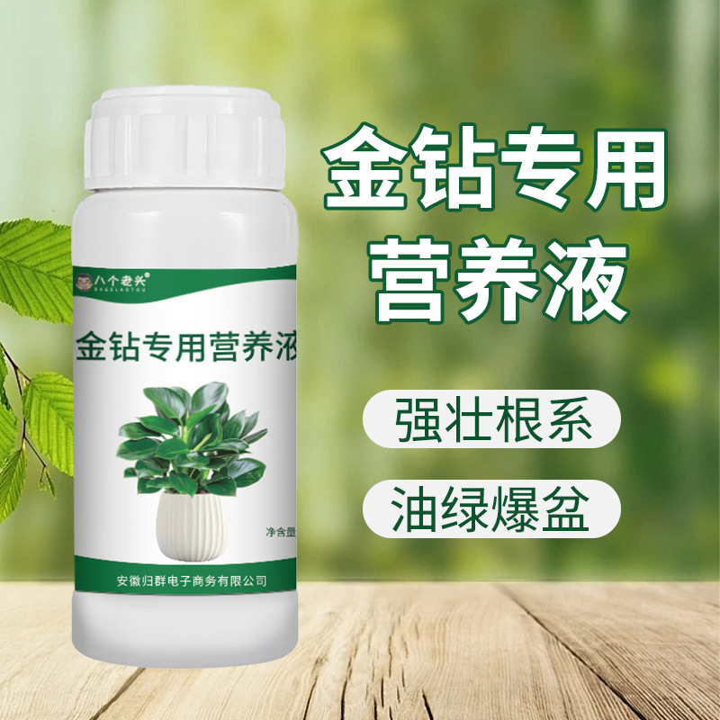 厂家直销金钻植物专用营养液促生长防黄叶水培土培家庭通用批发|undefined