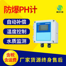防爆在线PH计 在线水质废水污水处理PH浓度检测防爆PH计