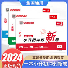 2024版小升初冲刺新卷一本语文数学英语通用版小升初中真题分类