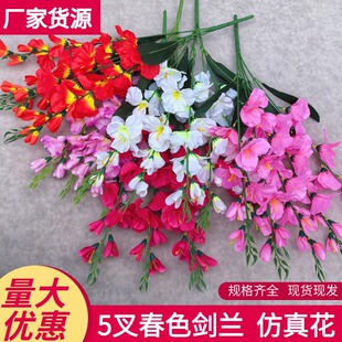 ���愦�m�����ٻ������S�����l��愦�m���͏d��Y�Ƶ��b��b�