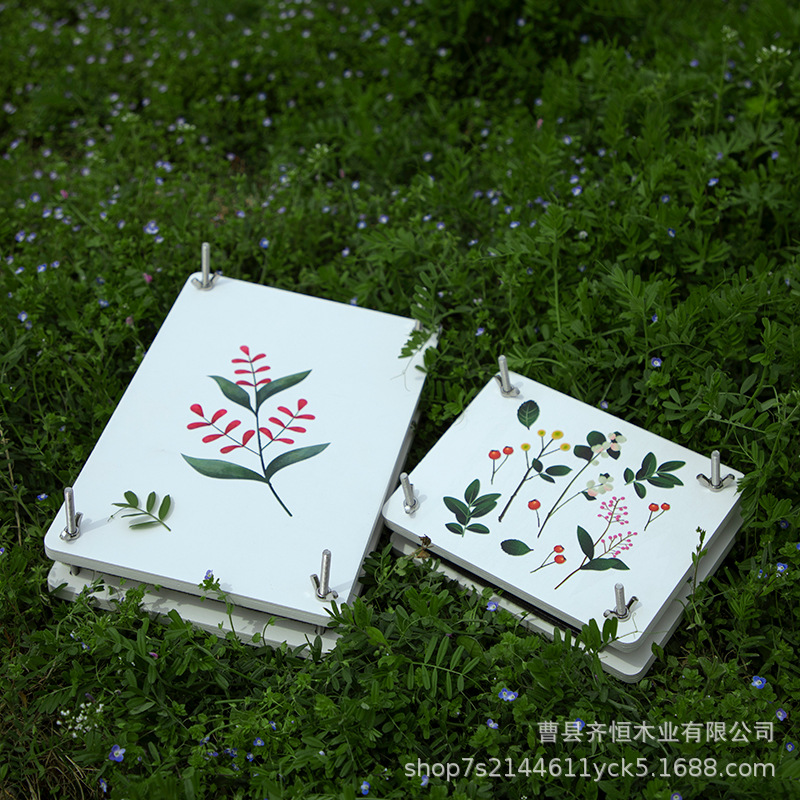 Tiktok impresora planta espécimen herramienta de fabricación hecha a mano flor seca rebanadas de fruta hojas secas DIY