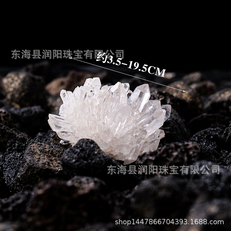 天然白水晶菊花晶晶簇擺件水晶原石礦物標本家居辦公裝飾擺件批發