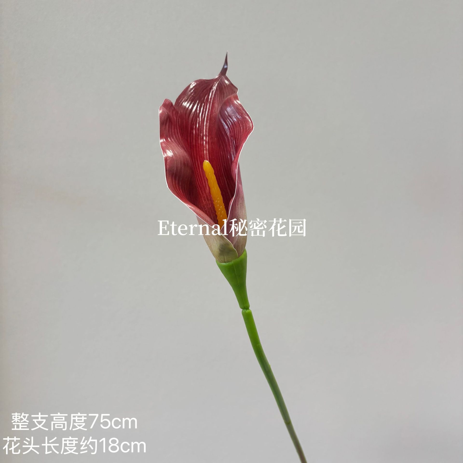 진한 빨간색