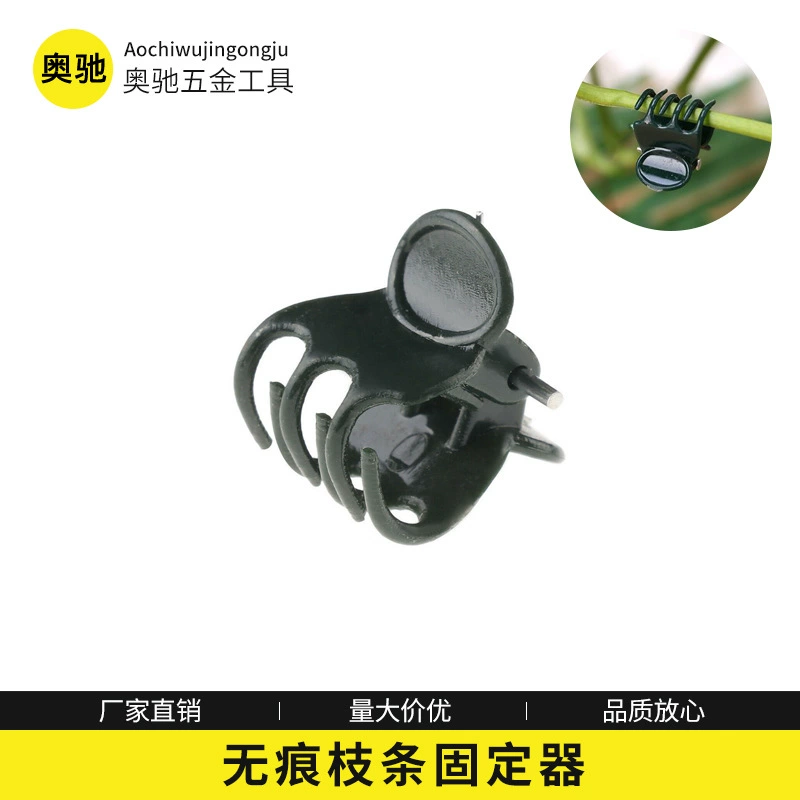 Зажим для орхидеи Бесследный фиксатор веток Крытый зажим для виноградной лозы Крючок для борьбы Артефакт Растение Зеленая Роза Растет Зажим-бабочка