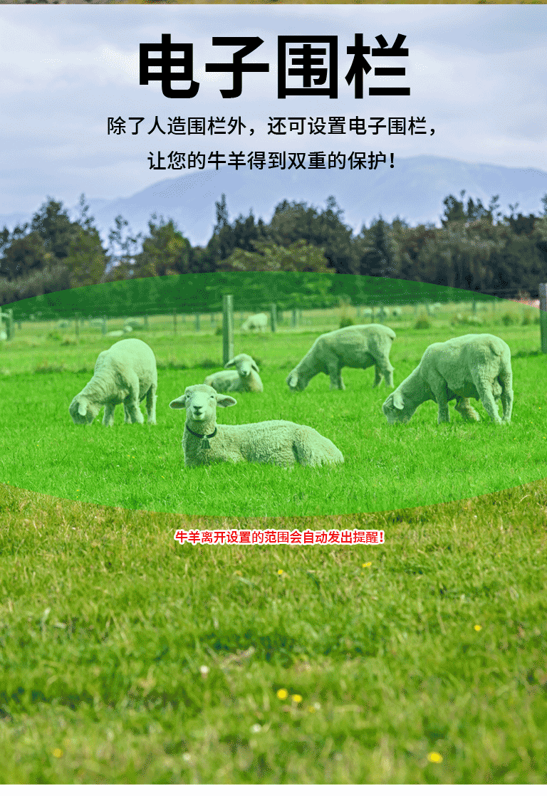 Q6 Cow and Sheep Collar-Mounted Tracking Device for Pasture and Grassland, Waterproof Gps Beidou Wifi Multi-Mode Locator