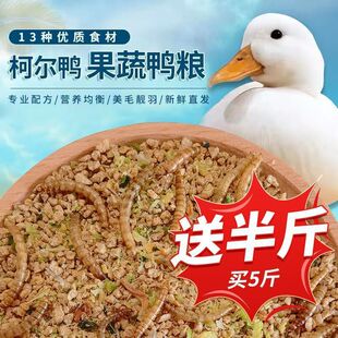 � �������С�S���ߵ������ȫ�r�ό�����ϴ��b������ϠI�B���