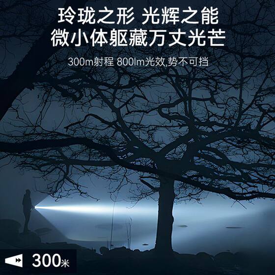 Walson A700 flashlight strong light charging outdoor tactical super bright long shot small mini portable household LED light