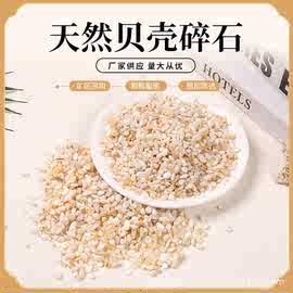 贝壳碎石小颗粒鱼缸花盆铺面园艺装饰造景石批发水晶碎水晶造景