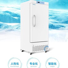 being���� -25&deg;C���±����� ���±��� BDW-25L260
