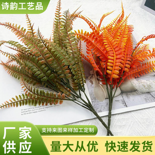 SֱNˮֲ7沨˹ϼٻGֲԷGֲ