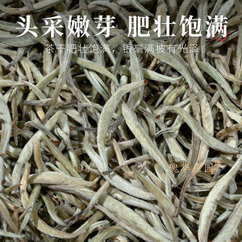 雲南ペコー銀針特別ルースティー卸売 2025 新茶京谷大白茶月光白茶バルク 500 グラム|undefined