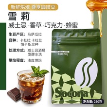 SoconaѩƷȶ250gʿɾͰlrFĥƷ֛_