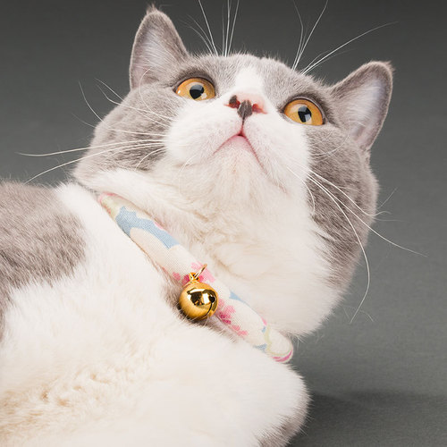 Japanese style cat bell cute necklace cat collar adjustable cat bell dress up pet cat supplies accessories