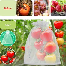 ˮ���׷��B�W�����x���������Ӳ�ݮ���o�Nֲʯ�����ӹ��@���x��