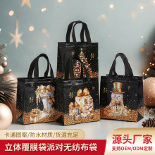 亚马逊热销无纺布精美手提袋圣诞节礼品袋可折叠礼品收纳防水袋