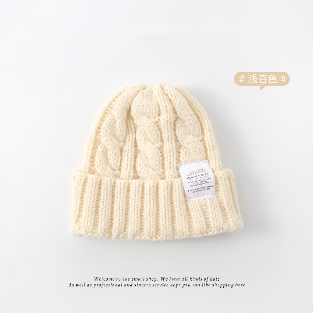 Sombrero de estudiante de estilo japonés femenino Otoño e Invierno de alto aspecto ins sombrero de lana de punto grueso versátil suelta gran circunferencia de la cabeza sombrero frío