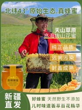 �½����ۼ�����ȻҰ���r���Ԯa�ڗ�����ڷ�����ԭ������ٻ���