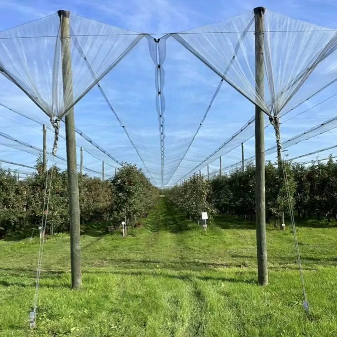 lQDPJw2VwZX-f9XNBDjNBDiwKGg4Tf