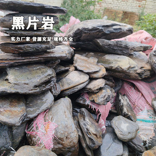 Yecai Stream Stone schist Shale Primary Cylinder Landscape Stone Climbing Pet Basking Aquarium Decorative Rockery Black schist