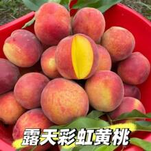 26�����r�S��2.8��Fժ�ʺ���������¶�����쮔��ˮ���S���۴���