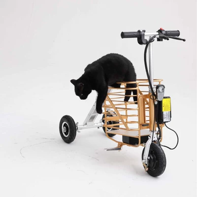 Mini Electric Scooter with Foldable Qatlanan elektrik velosipedlər