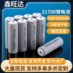 21700リチウム電池の先の3-500 mahのジューサーの車のファンの照明の懐中電灯の充電電池