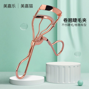 ����؈ ��ë�A ��Ȼ�־ö��� ��ë�N���� ���ʽ��ë�A�ӏS�Ҷ���