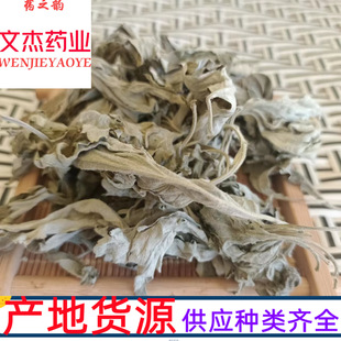 ���~�S�Ҷ��簬�����_��ԡ�ɰ��~���l����t����ĸ�ݡ��Ă�ș�I��