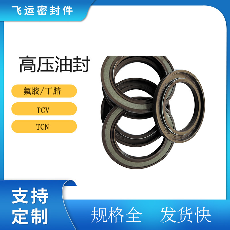 丁腈氟胶TCV/TBC/TCN/CFW外漏骨架高压油封
