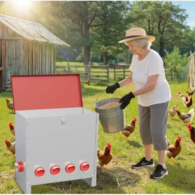 跨境货源喂食器鸡食槽食盒鸡料槽饲养设备鸡米槽家禽自动食养