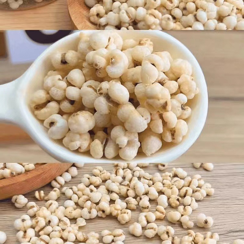 Puffed Coix Seed Snack Yi Yi Ren 100g Bag Light Crunchy Roasted Barley Bites specifications