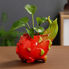 �����������մɻ�ƿˮ��ֲ�ﻨ�������b[���G�}���r����