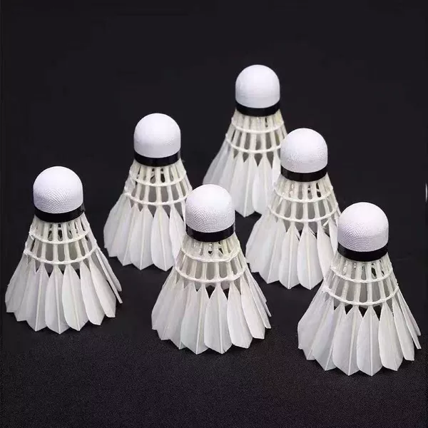 Pack of 6, durable white feathers