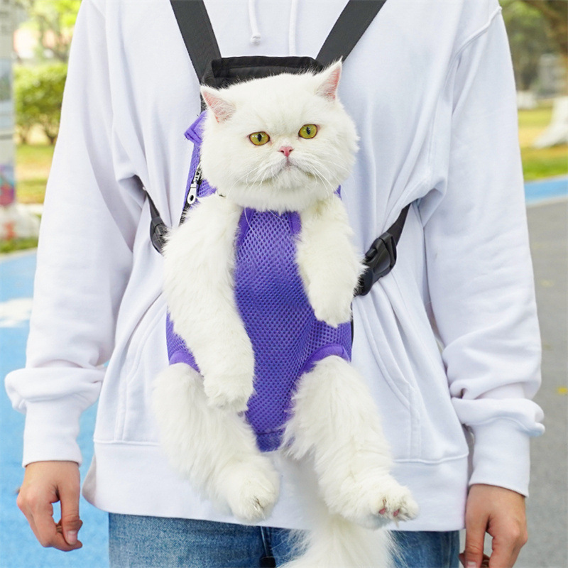 51474b1f-02fe-40c4-b433-b8ea1e24bd6a.jpe