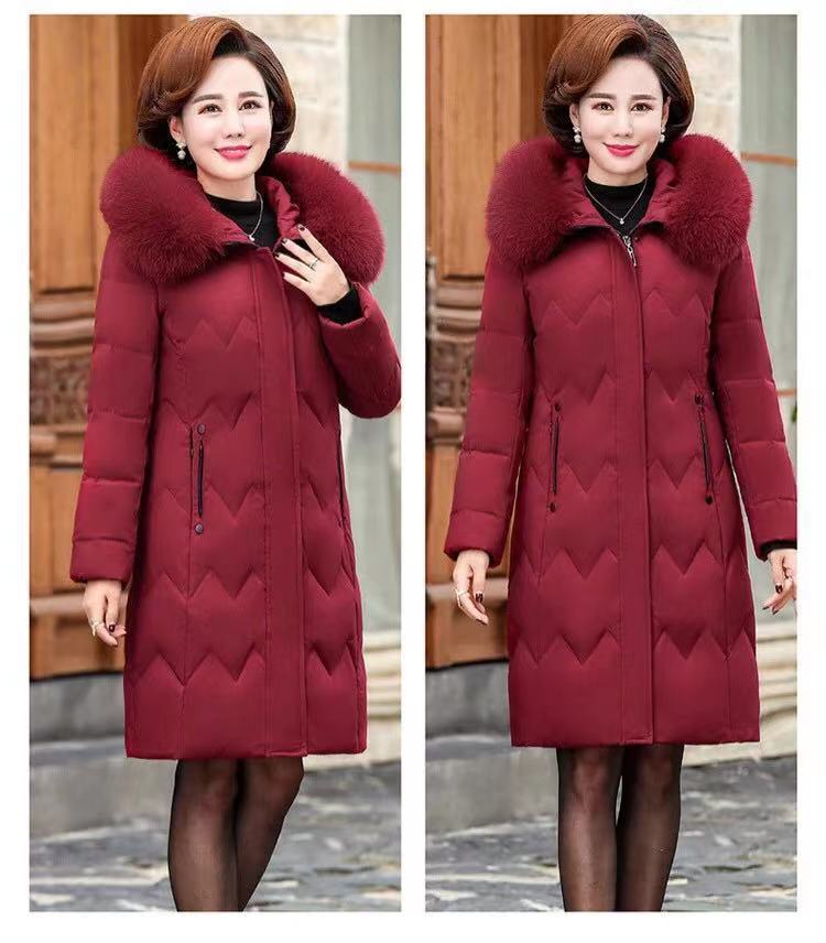 버건디