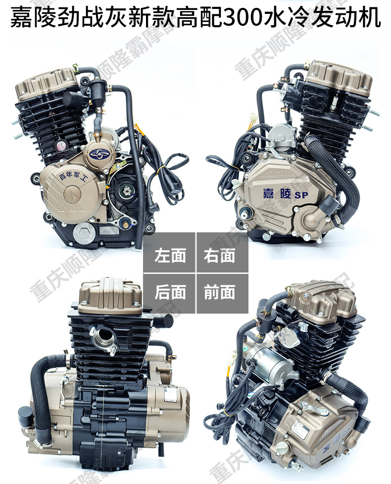 Jialing Brand Three-Wheel Motorcycle Engine 175 200 250 300 350 Water-Cooled Engine Original Genuine Product