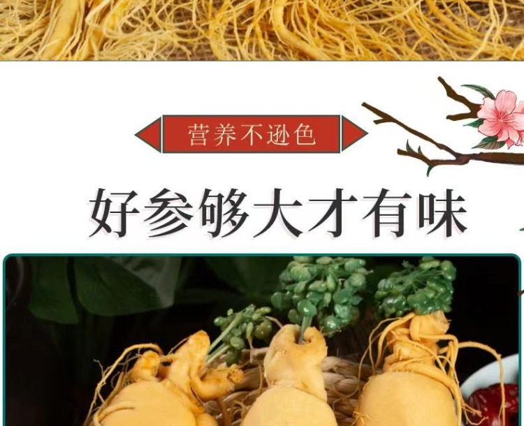 Fresh Northeast Ginseng Root Vacuum Packed Changbai Mountain Ginseng for Wine Soaking 20g overview