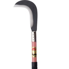 ������ݵ��ո�ׯ���_·�����r����ѿ砵��S�����l�����桿106