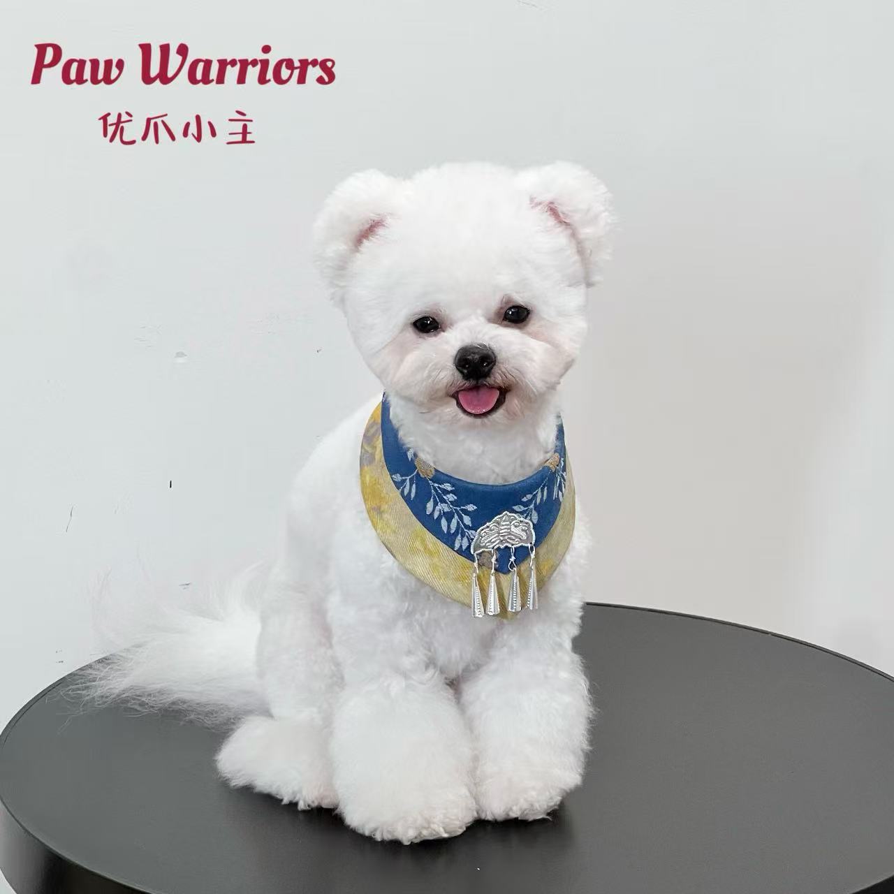 Toallas de saliva para mascotas bufandas corbata cortesana empalme marca de moda otoño invierno perros grandes joyas corbata